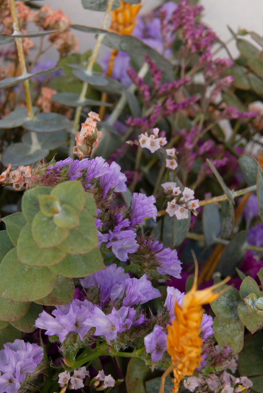 El d'eucalipto i limonium