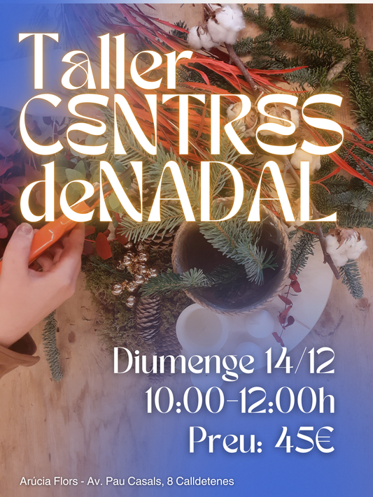 Taller de centres de Nadal