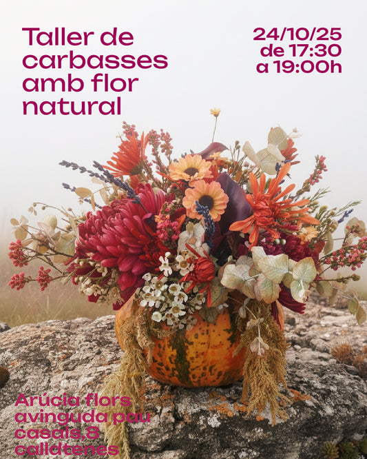 Taller de Carbasses